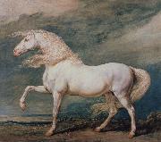 Edward Bower Adonis, King George ill's it Favourite Charger oil painting